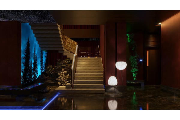 成都特色养生休闲：品茗喂鸽，享受悠闲时光(成都品茗家居算品牌吗)